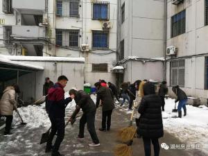 抗雪特輯 | 致大雪中可愛(ài)的房總人！